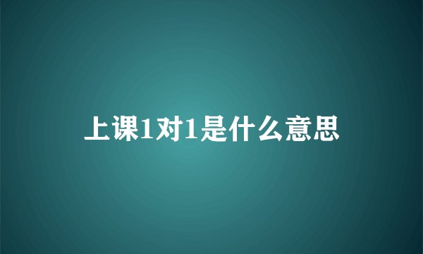 上课1对1是什么意思