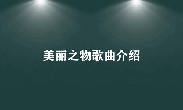 美丽之物歌曲介绍