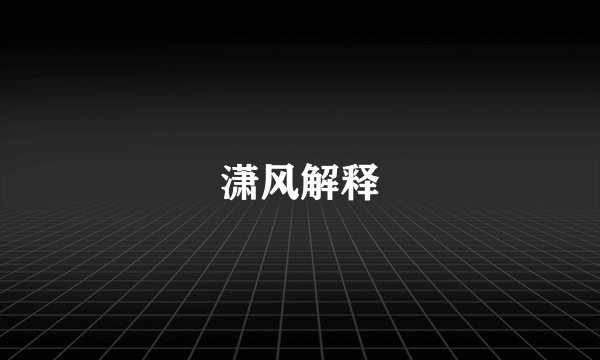潇风解释