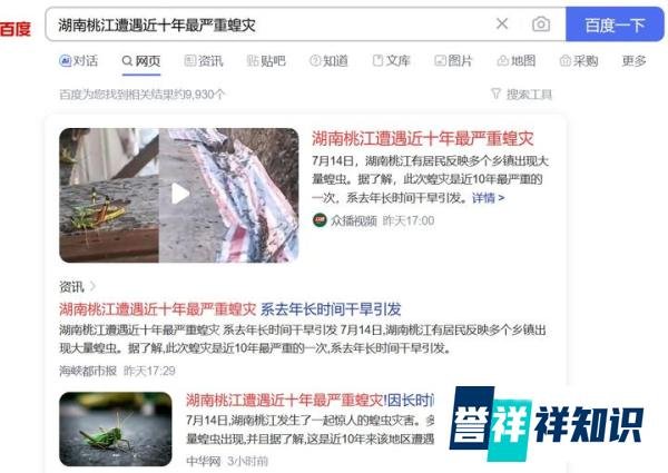 湖南桃江遭遇近十年最严重蝗灾