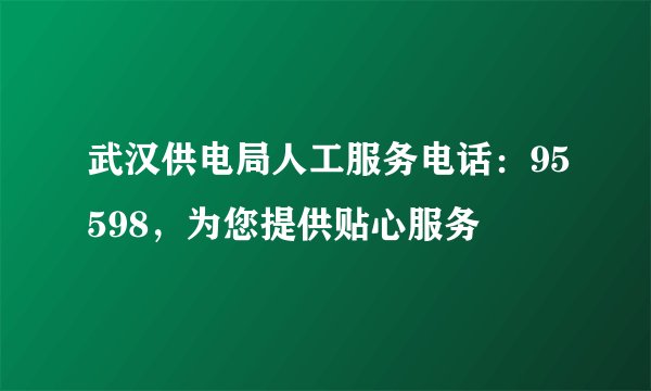 武汉供电局人工服务电话：95598，为您提供贴心服务