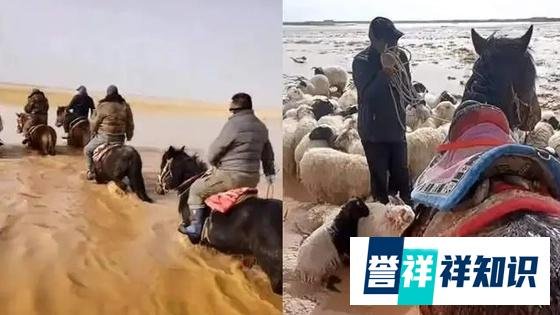 官方回应“网传青海发生洪水”：未造成人员伤亡