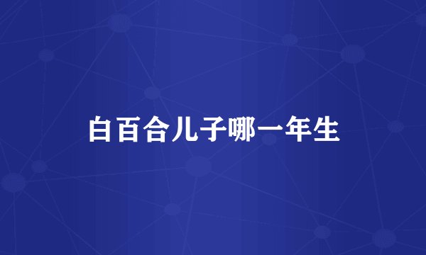 白百合儿子哪一年生