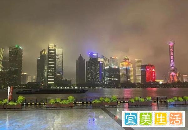 上海“外滩长草”引热议，不求真务实盲目辟谣，越辟越谣