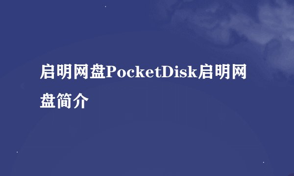 启明网盘PocketDisk启明网盘简介