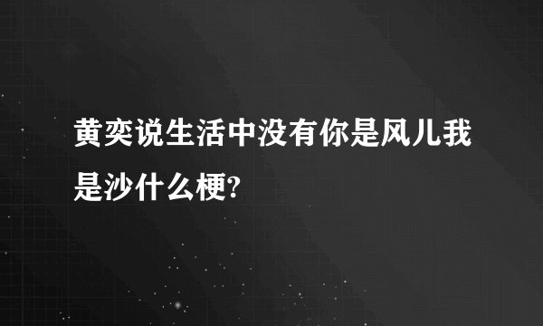 黄奕说生活中没有你是风儿我是沙什么梗?