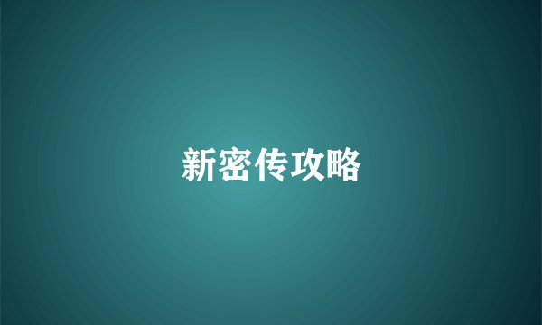 新密传攻略