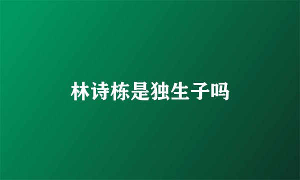 林诗栋是独生子吗
