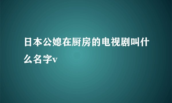 日本公媳在厨房的电视剧叫什么名字v