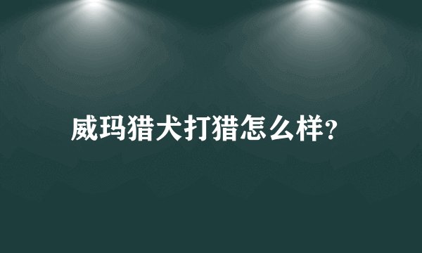 威玛猎犬打猎怎么样？
