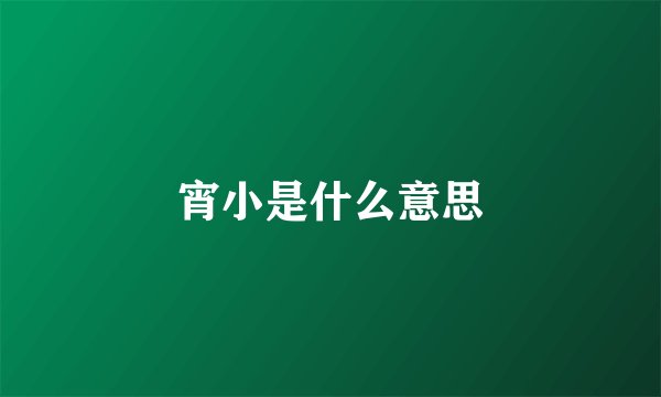 宵小是什么意思