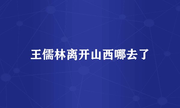 王儒林离开山西哪去了