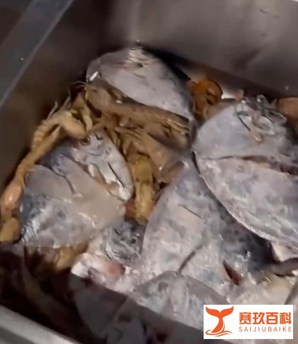 男子400元买4箱海鲜解冻后全是空壳,可怜之人必有可恨之处!