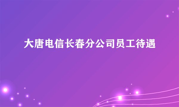 大唐电信长春分公司员工待遇