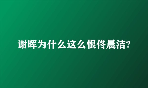 谢晖为什么这么恨佟晨洁?