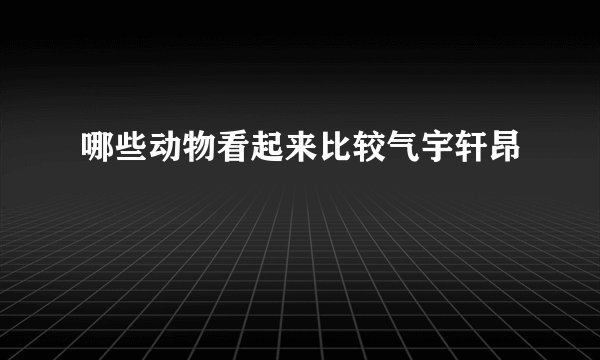 哪些动物看起来比较气宇轩昂