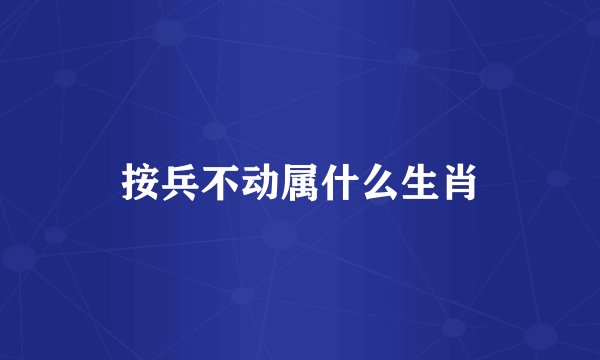 按兵不动属什么生肖