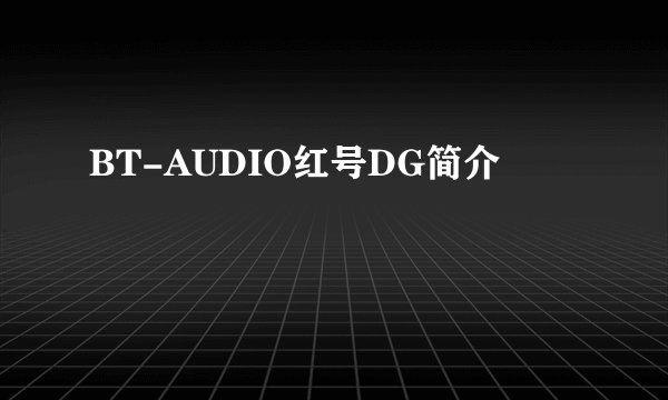 BT-AUDIO红号DG简介