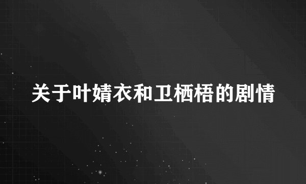 关于叶婧衣和卫栖梧的剧情