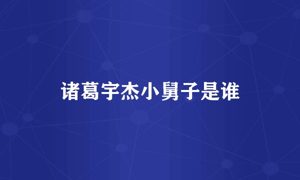 诸葛宇杰小舅子是谁