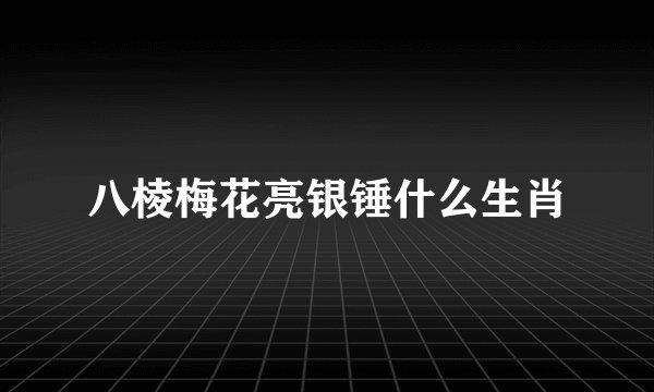 八棱梅花亮银锤什么生肖