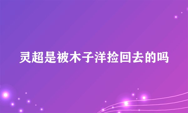 灵超是被木子洋捡回去的吗