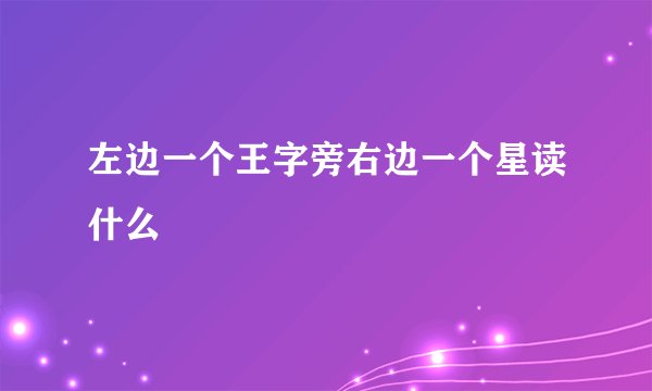 左边一个王字旁右边一个星读什么