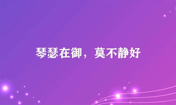 琴瑟在御，莫不静好