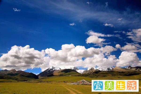 成都包车去拉萨需要多少天多少钱
