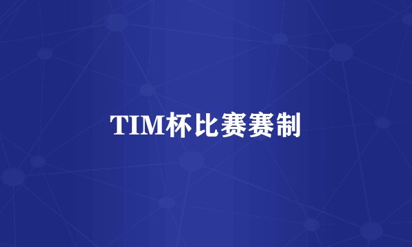 TIM杯比赛赛制