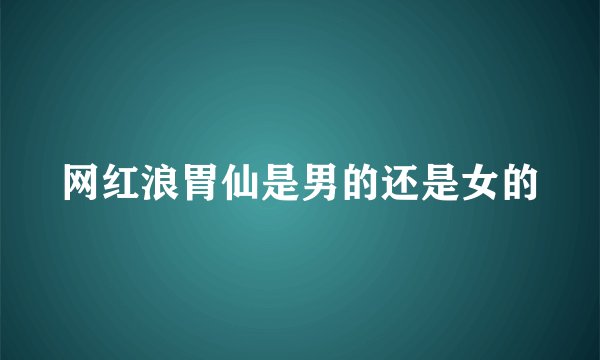 网红浪胃仙是男的还是女的