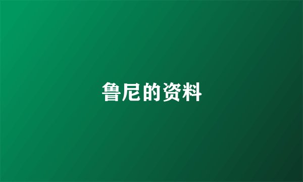 鲁尼的资料