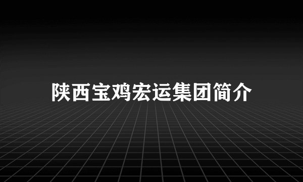 陕西宝鸡宏运集团简介