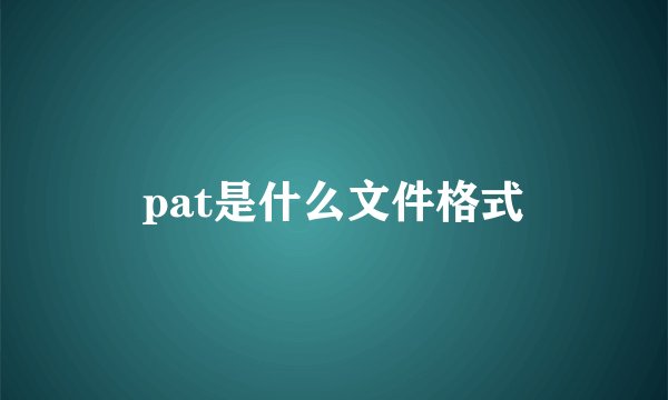 pat是什么文件格式
