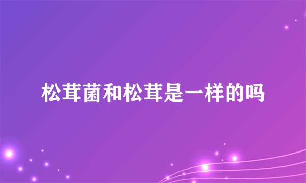 松茸菌和松茸是一样的吗
