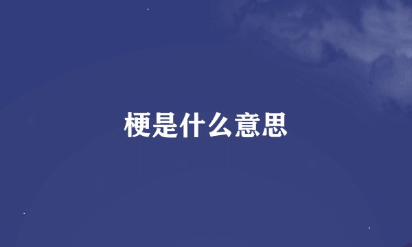 梗是什么意思