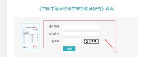怎样查中考成绩单？