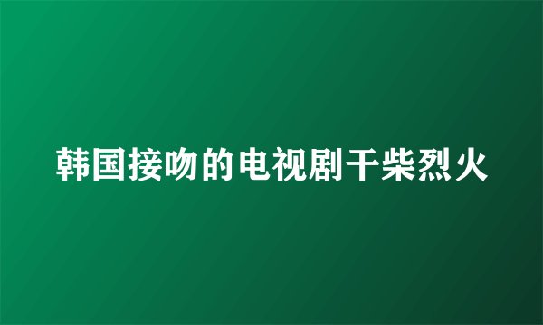 韩国接吻的电视剧干柴烈火