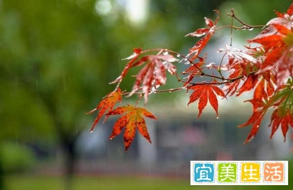 立冬晴，一冬凌；立冬阴，一冬温。来看详解