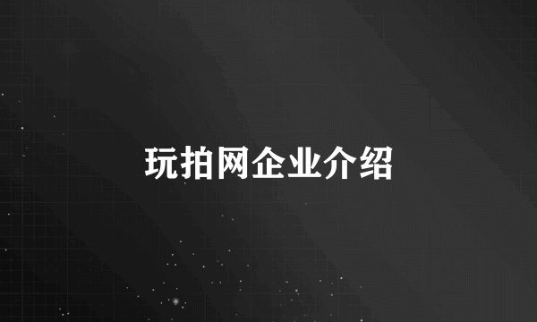 玩拍网企业介绍