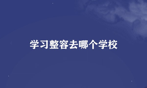 学习整容去哪个学校