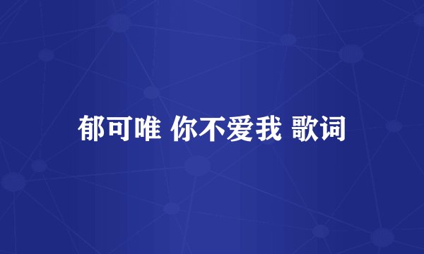 郁可唯 你不爱我 歌词