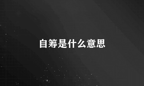 自筹是什么意思
