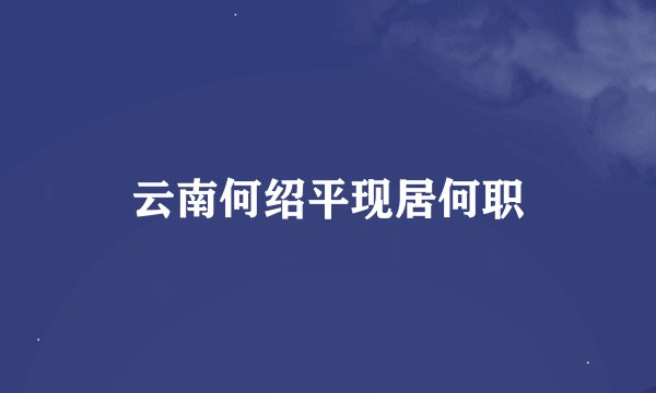 云南何绍平现居何职