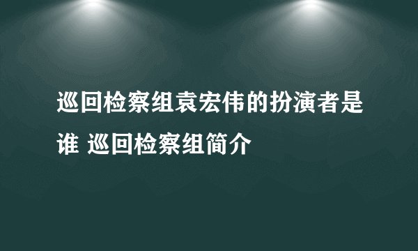 巡回检察组袁宏伟的扮演者是谁 巡回检察组简介