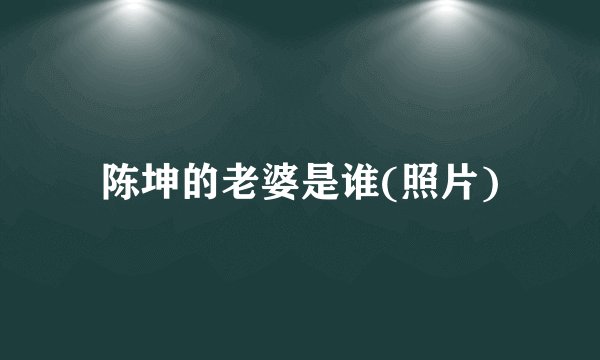 陈坤的老婆是谁(照片)
