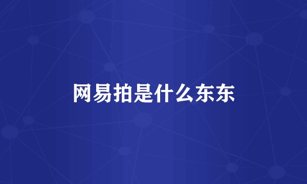 网易拍是什么东东