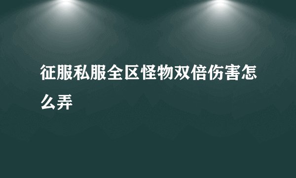 征服私服全区怪物双倍伤害怎么弄