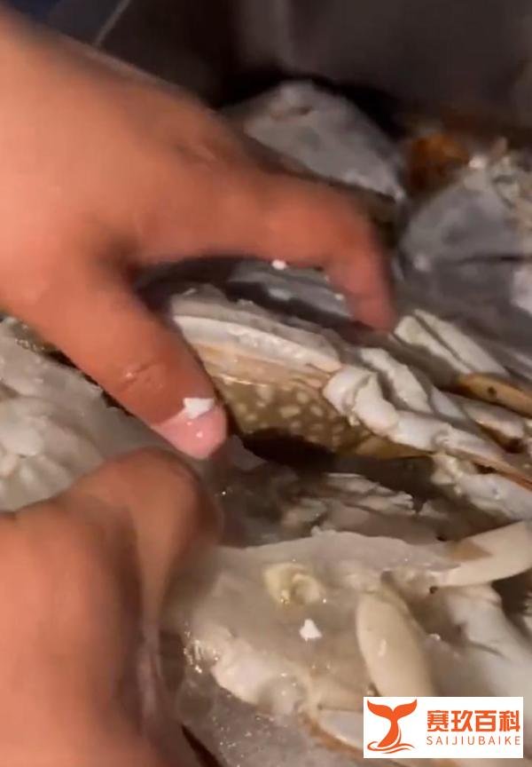 男子400元买4箱海鲜解冻后全是空壳,可怜之人必有可恨之处!