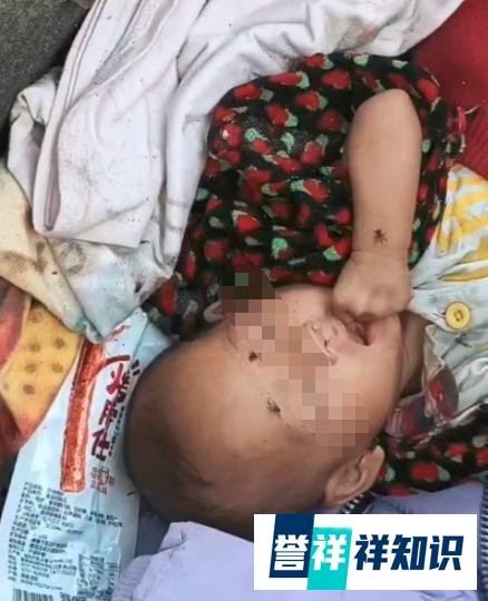 网曝一幼童吃泔水与流浪狗同住垃圾堆，且母亲患有精神疾病